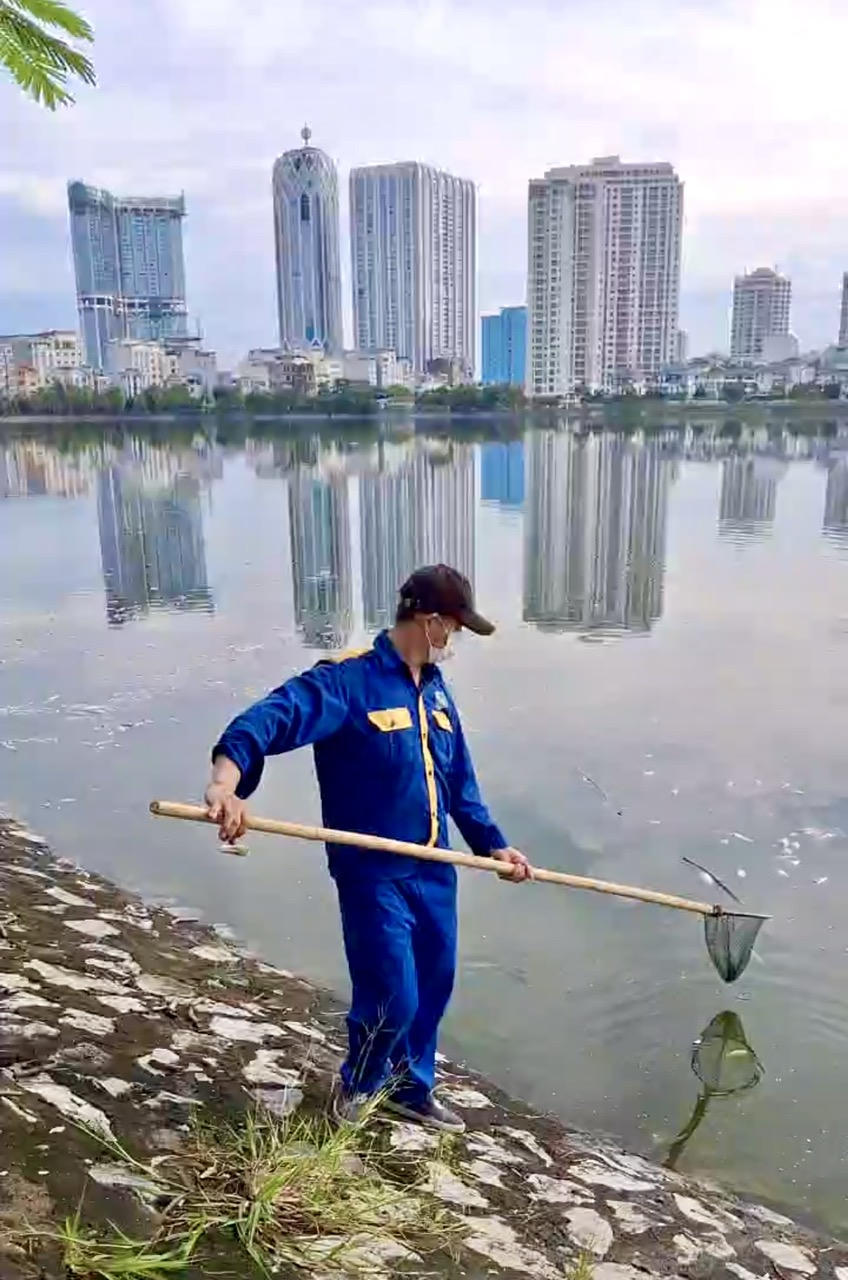 Hàng tấn cá chết tại nhiều hồ điều hòa ở Hải Phòng