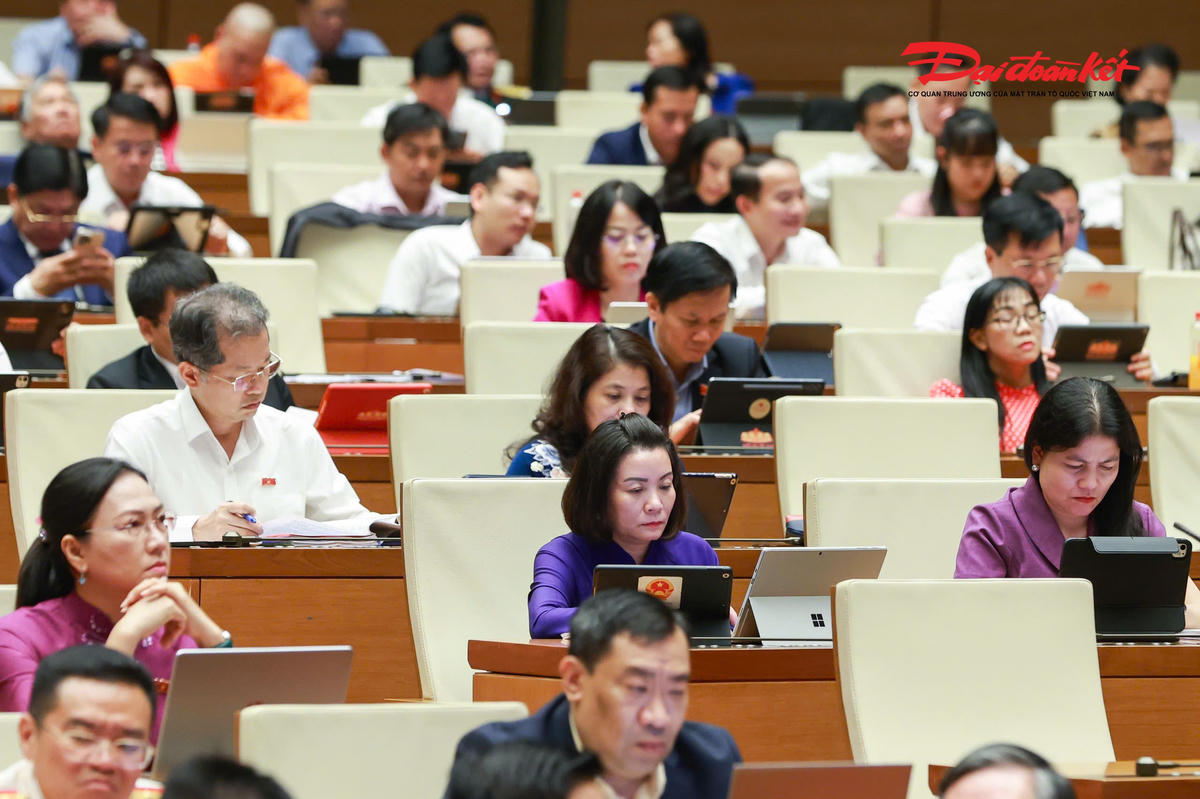 Các đại biểu tham dự phiên thảo luận.