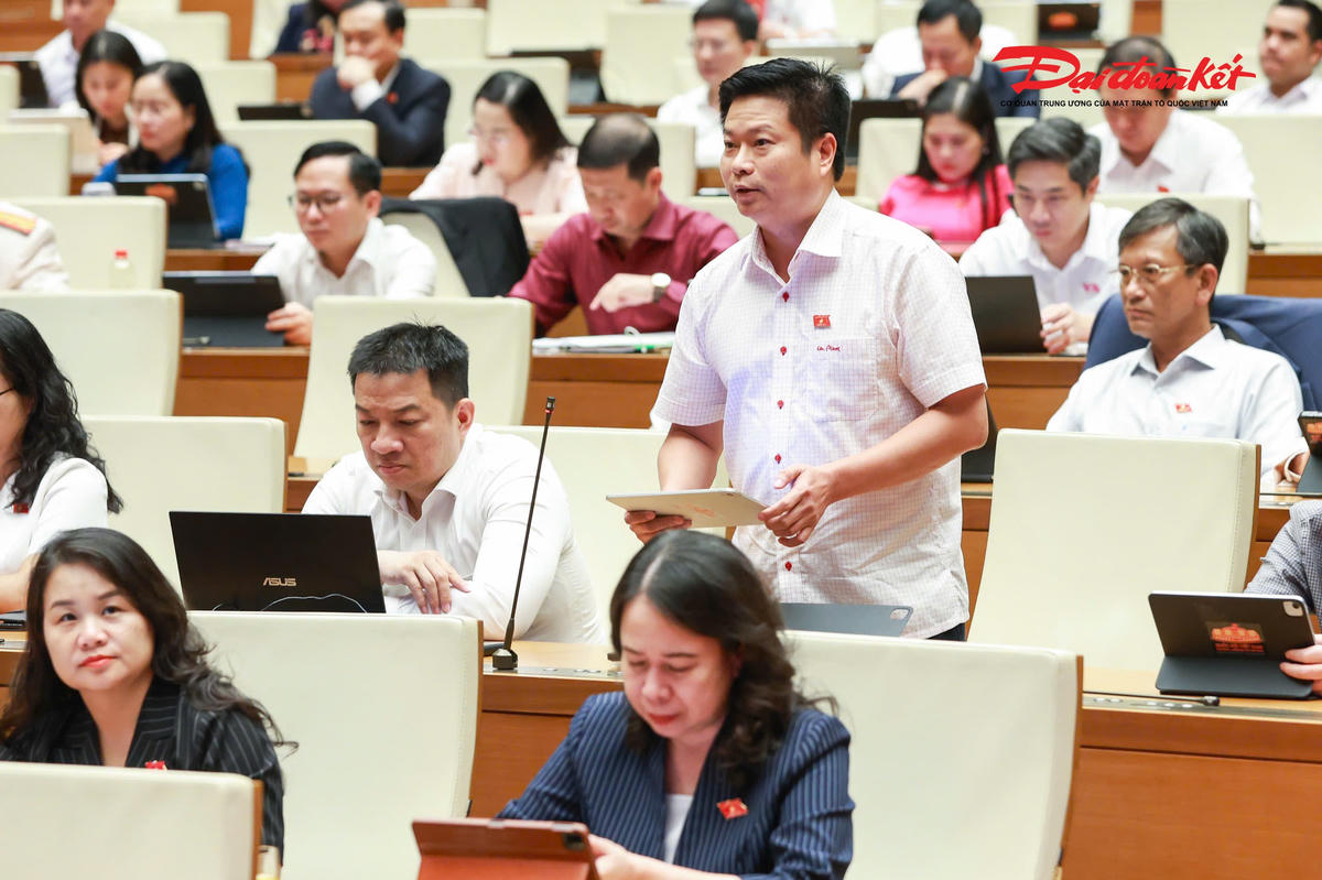 Đại biểu Trương Hồ Hải, Đoàn An Giang phát biểu.
