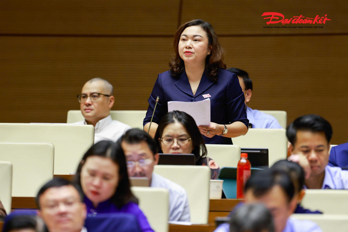 Đại biểu Đặng Bích Ngọc, Đoàn Phú Thọ phát biểu.