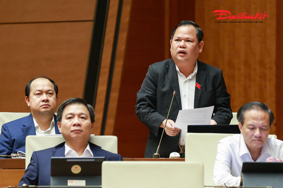 Đại biểu Nguyễn Duy Thanh, Đoàn Cà Mau phát biểu 