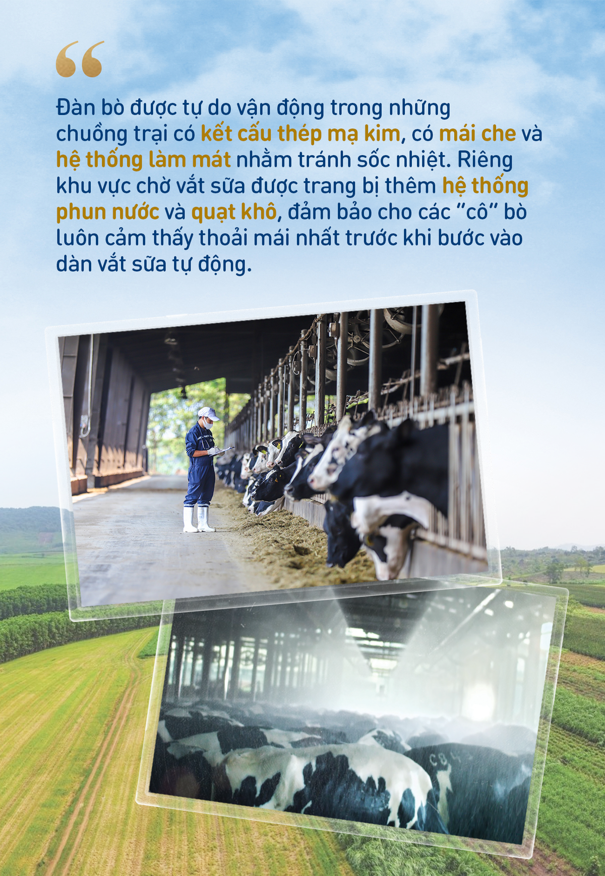 Những điểm nhấn làm nên chất lượng hàng đầu của sữa tươi sạch TH true MILK