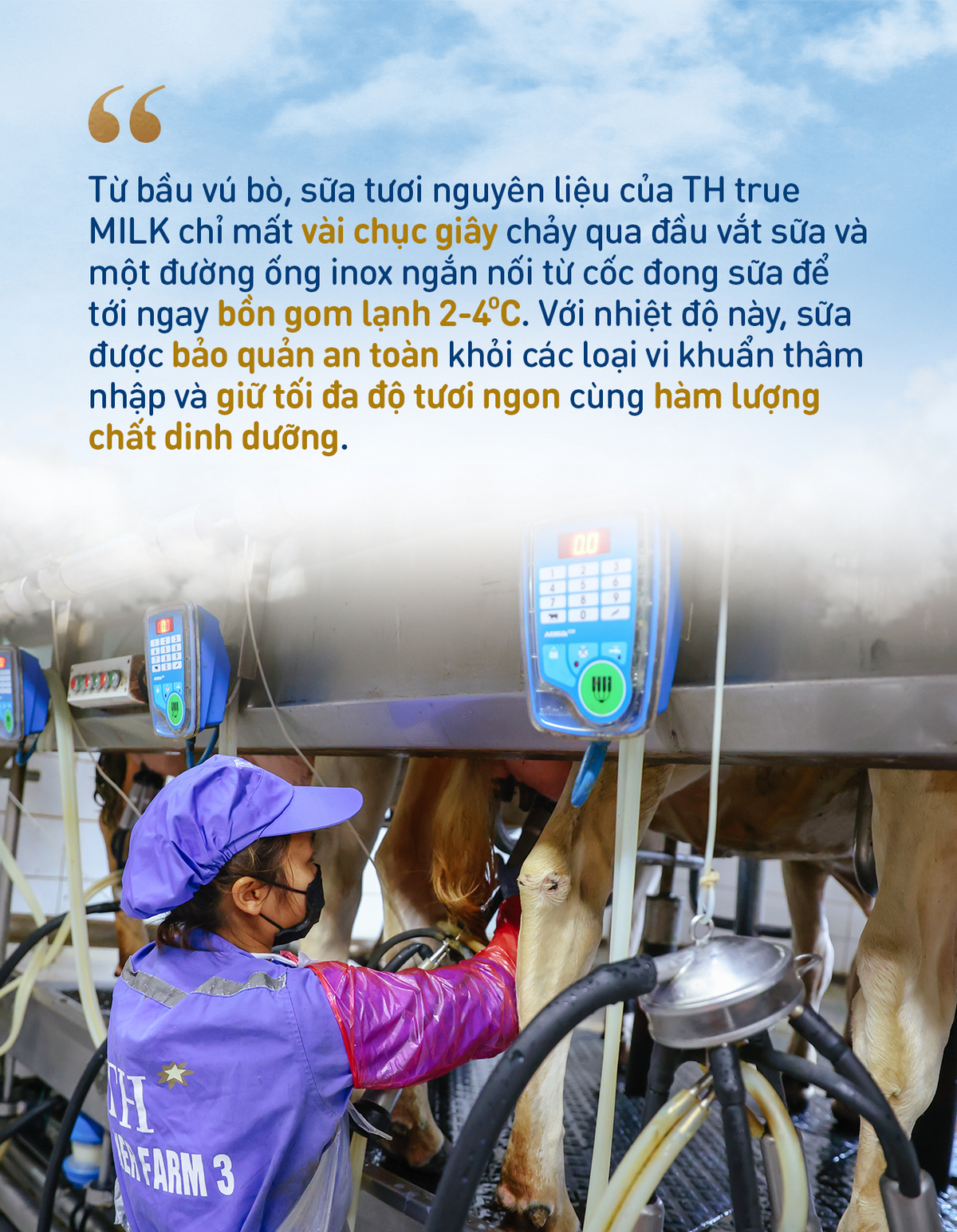Những điểm nhấn làm nên chất lượng hàng đầu của sữa tươi sạch TH true MILK