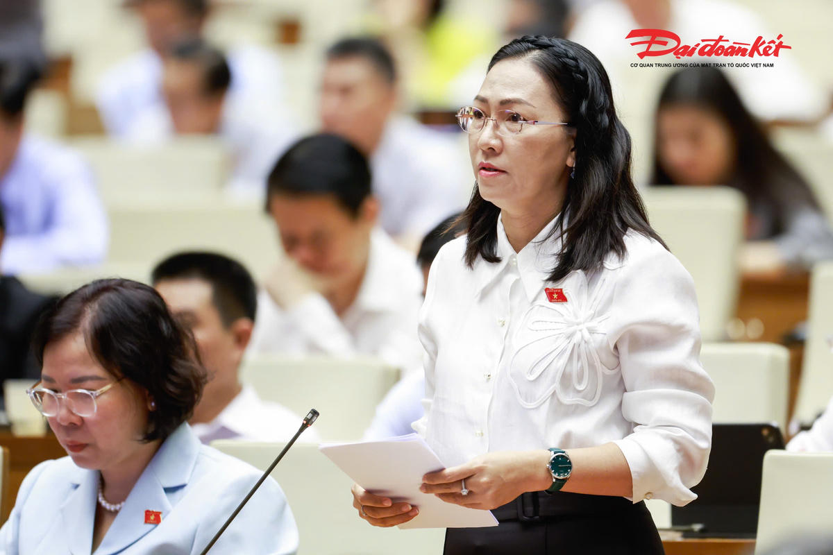 Đại biểu Nguyễn Thị Yến Nhi, Đoàn Vĩnh Long phát biểu
