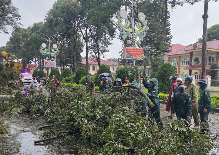 Ban CHQS xã Bảo Lâm 1, khắc phục cây xanh gãy đổ sau mưa lớn tại xã Bảo Lâm 1.