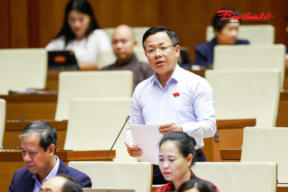 Đại biểu Trần Thanh Hà, Đoàn Hà Nội phát biểu