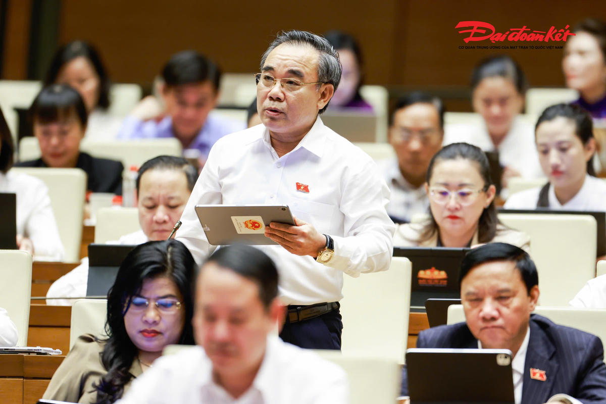 Đại biểu Lê Hữu Trí, Đoàn Khánh Hòa phát biểu