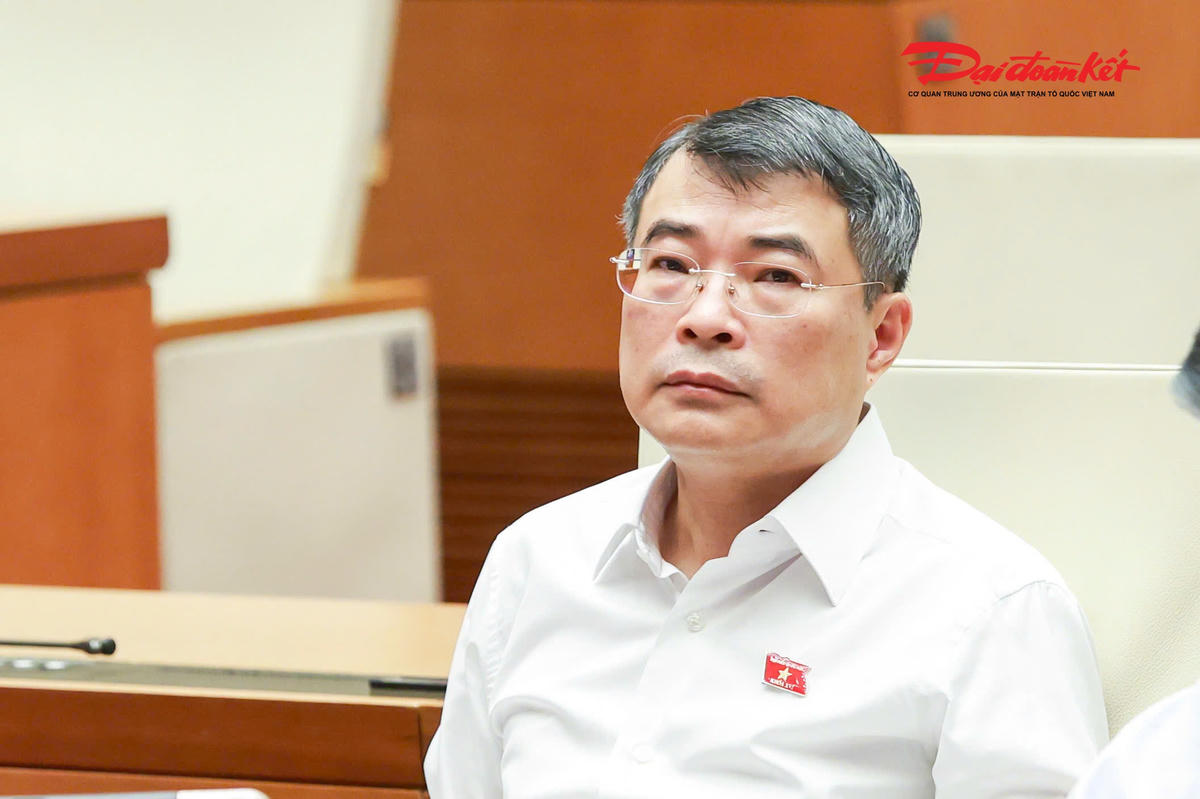Thủ tướng Chính phủ Lê Minh Hưng dự phiên họp.