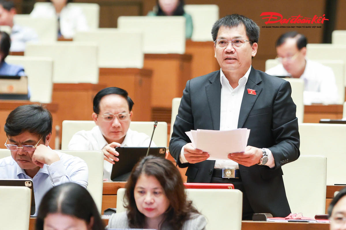 Đại biểu Dương Khắc Mai, Đoàn Lâm Đồng phát biểu