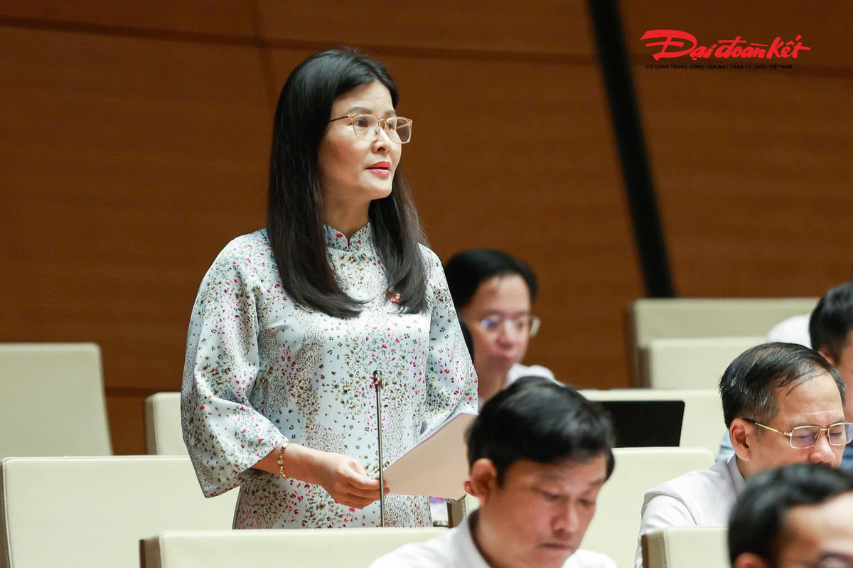 Đại biểu Bùi Thị Quỳnh Thơ, Đoàn Hà Tĩnh phát biểu