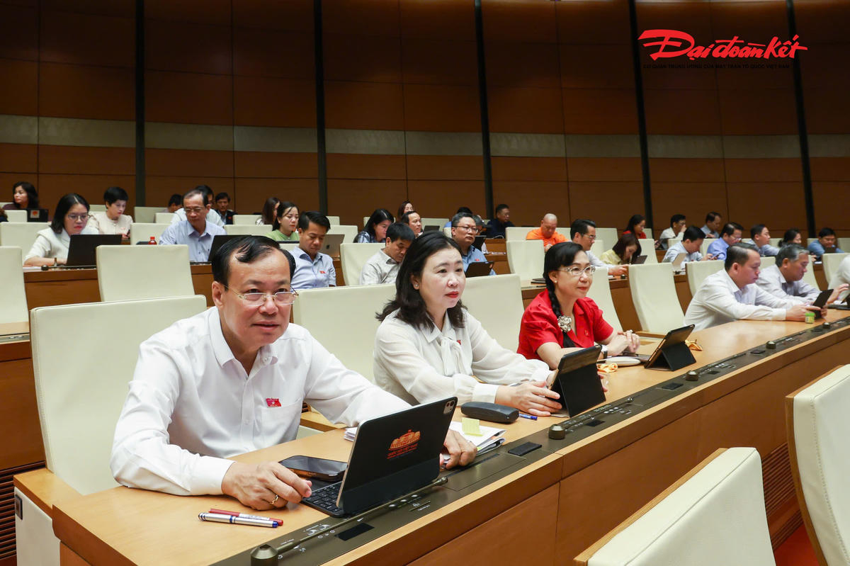Các đại biểu dự phiên thảo luận