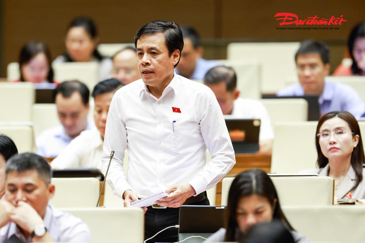 Đại biểu Trần Anh Tuấn, Đoàn TPHCM phát biểu