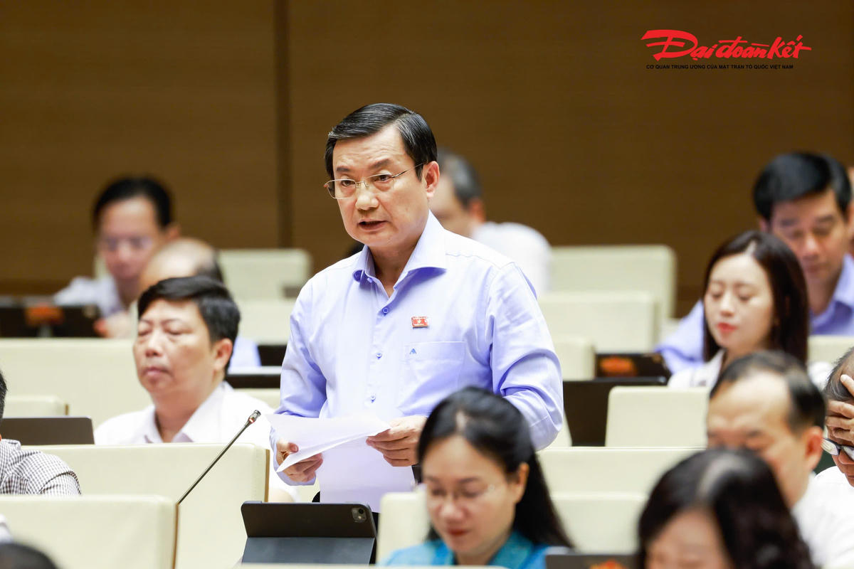 Đại biểu Phạm Trọng Nhân, Đoàn TPHCM phát biểu.