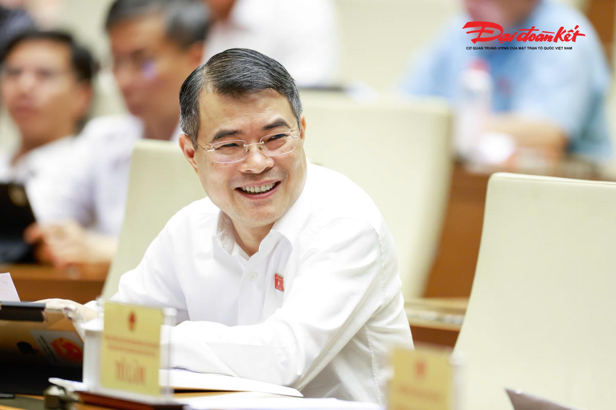 Thủ tướng Chính phủ Lê Minh Hưng dự phiên thảo luận