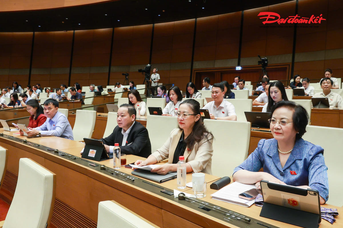 Các đại biểu dự phiên thảo luận