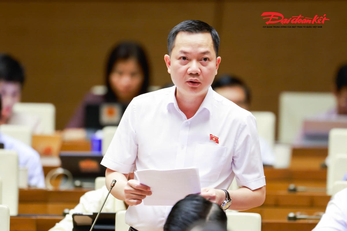 Đại biểu Trịnh Xuân An phát biểu (Ảnh: Quang Vinh)