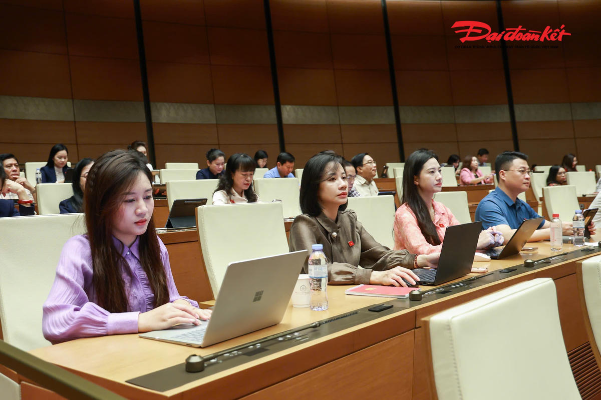 Các đại biểu dự phiên họp