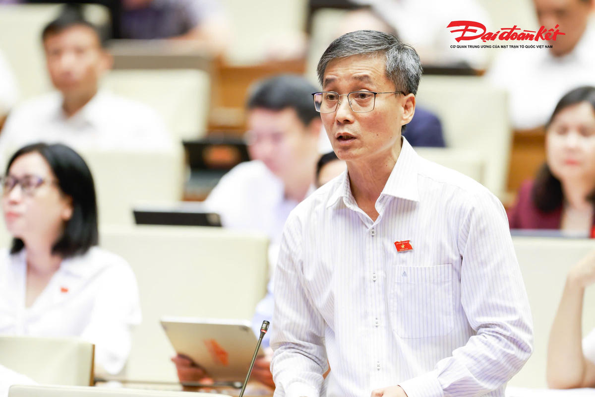 Đại biểu Nguyễn Khánh Ngọc, đoàn Đà Nẵng phát biểu