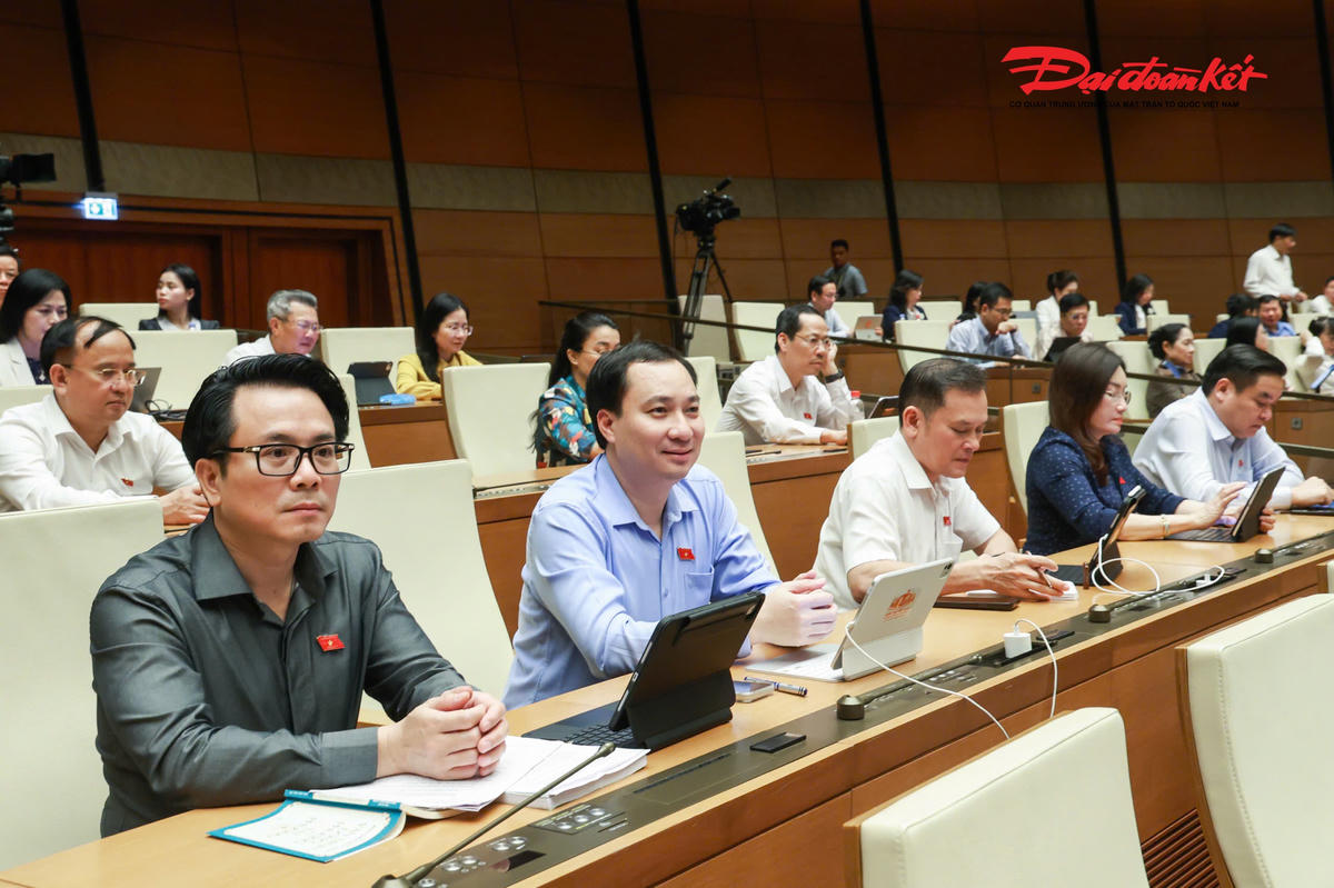 Các đại biểu dự phiên họp