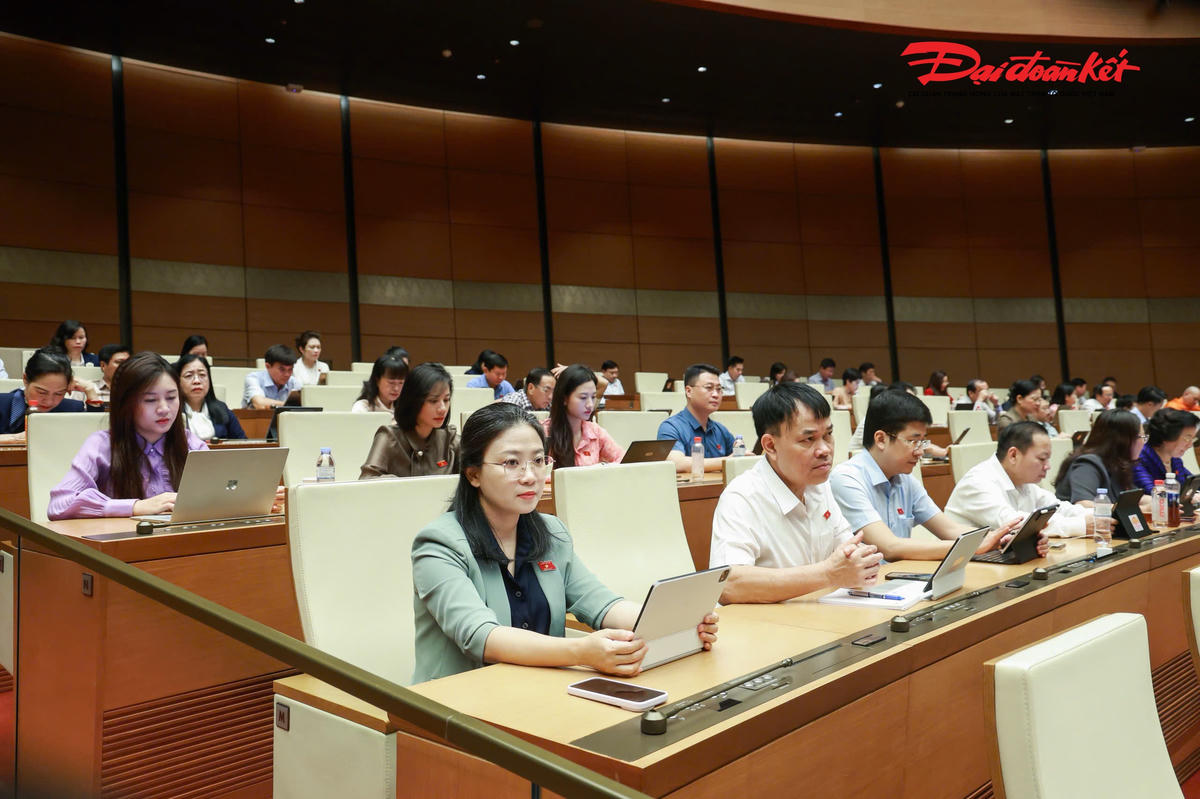Các đại biểu dự phiên họp.