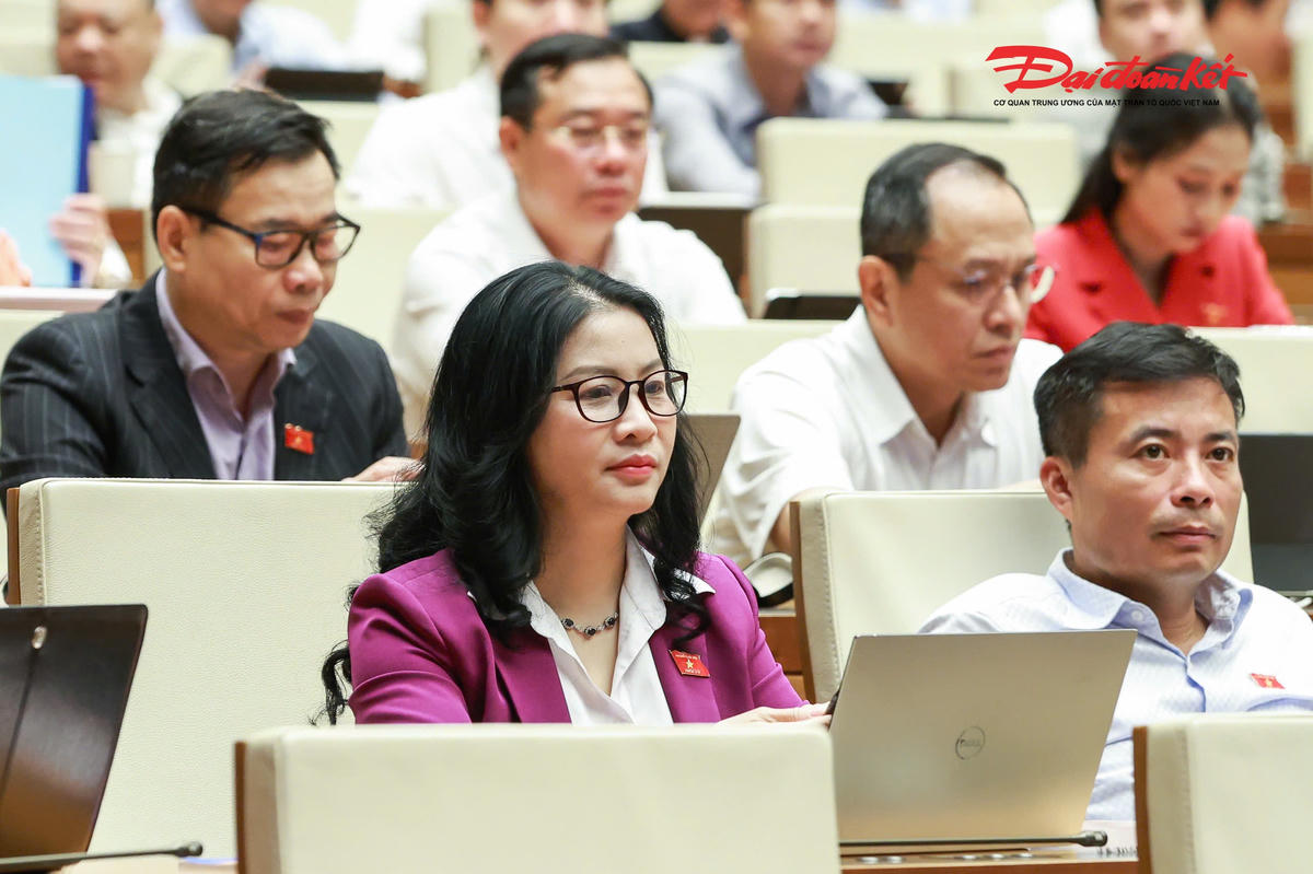 Các đại biểu dự phiên họp