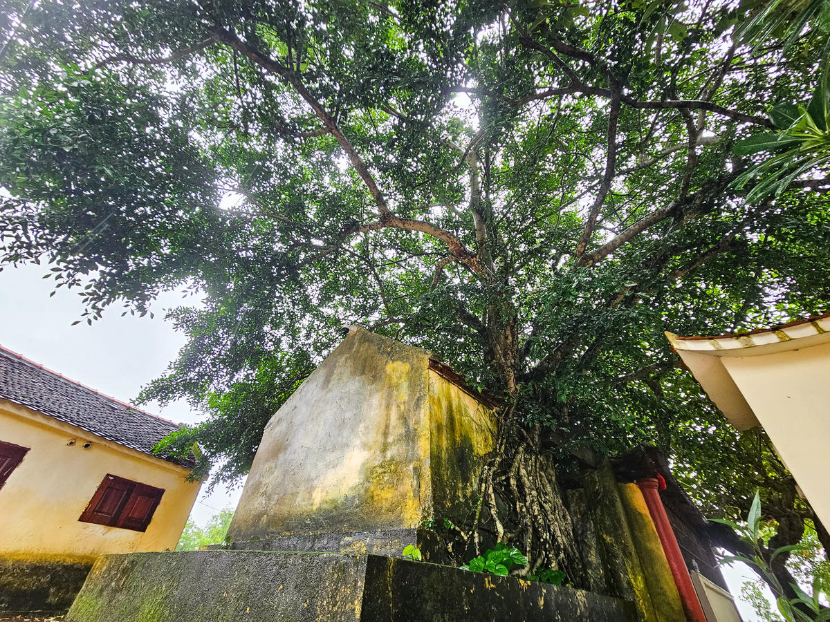 Ông Nguyễn Văn Hùng - Chủ tịch UBND xã Biện Thượng cho biết: Những gì còn lại tại Đa Bút hôm nay là dấu tích quý về nghệ thuật điêu khắc đá thời Lê - Trịnh, góp phần làm rõ thêm giá trị lịch sử, văn hóa của vùng đất này. Ảnh: Đình Minh