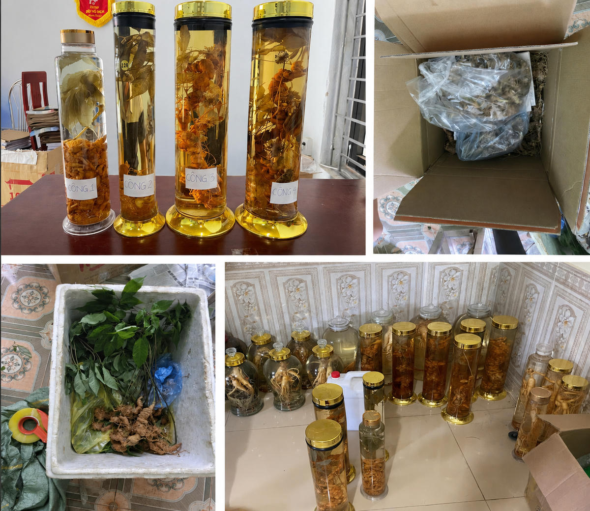 Tang vật của vụ án. Ảnh: CATH