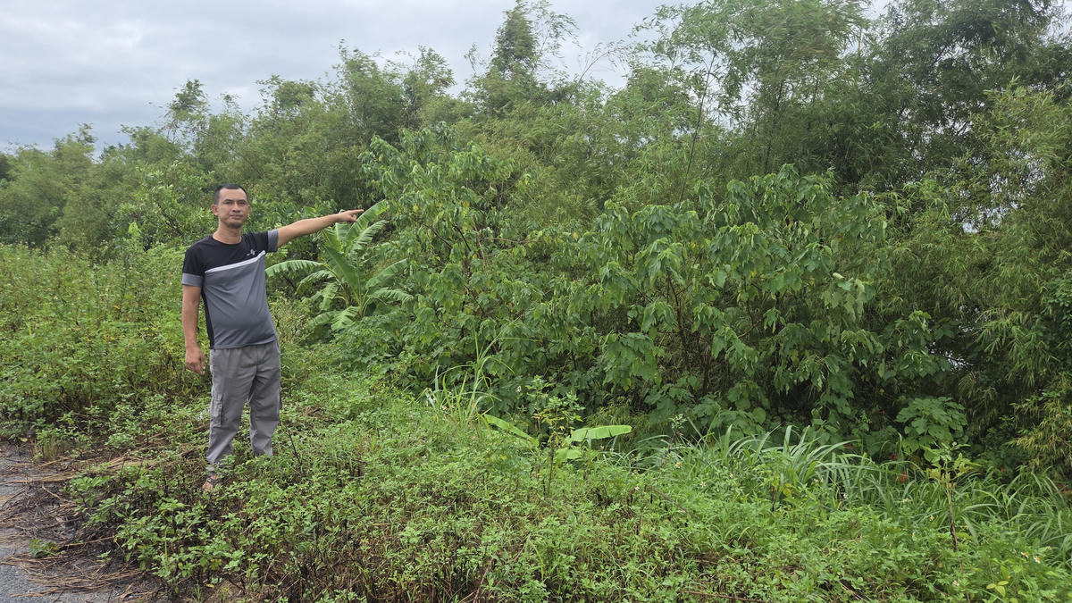 Theo ông Hoàng Chí Anh Linh, Quản lý đê nhân dân xã Đông Quan (trong ảnh), tre là loại cây rất dễ trồng, chi phí trồng thấp; thân cây dày, chắc, dẻo dai, giúp cản gió, giảm sức mạnh của sóng khi đánh vào thân đê. Nhờ có rặng tre, trải qua nhiều trận mưa lũ, tuyến đê qua địa bàn xã Đông Quan và các khu dân cư trong nội đồng vẫn được bảo vệ an toàn; góp phần duy trì, phát triển hệ sinh thái tự nhiên dọc thân đê. Ảnh: Duy Hưng.