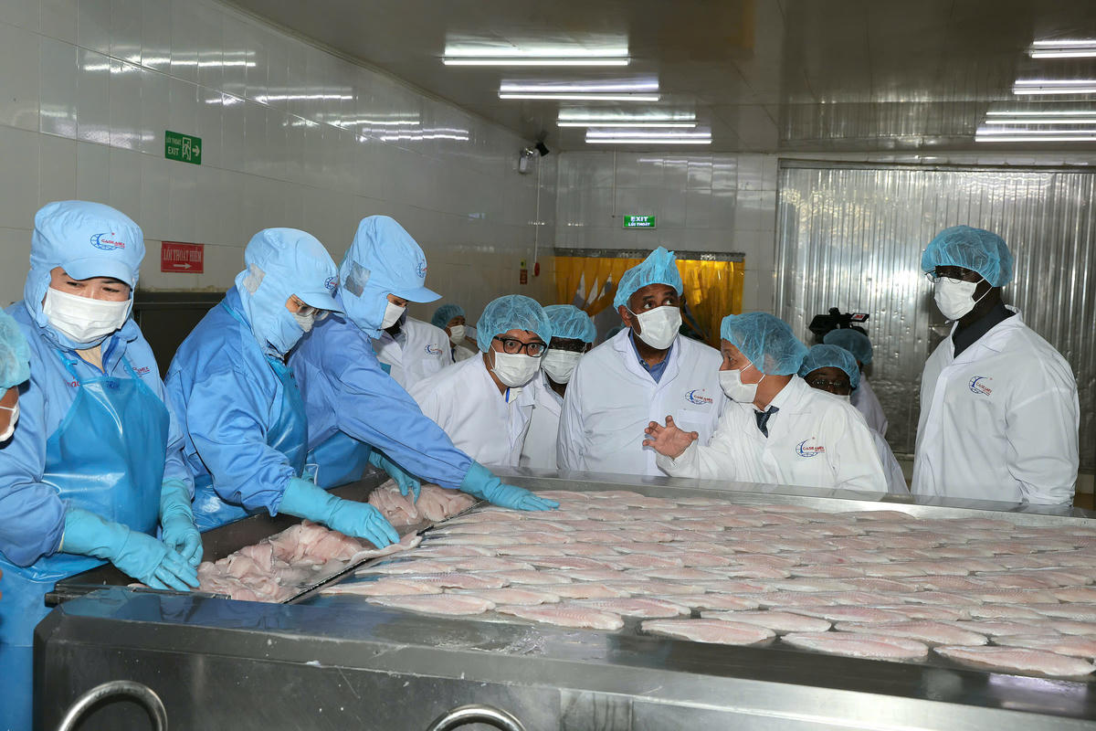 Chủ tịch Quốc hội Bờ Biển Ngà Patrick Achi đã đến thăm Công ty CASEAMEX (doanh nghiệp xuất khẩu cá tra của TP Cần Thơ).  Ảnh: TP