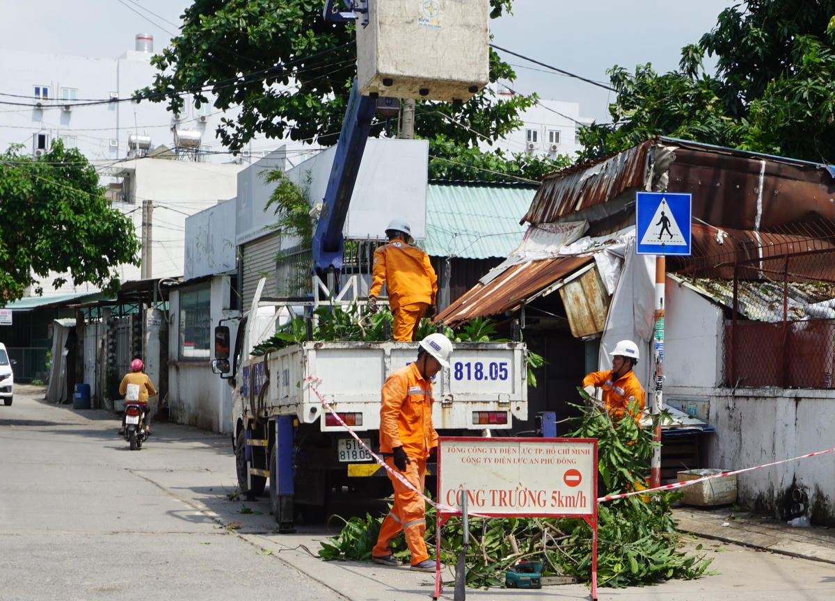 Công ty Điện lực An Phú Đông đang cắt tỉa nhánh cây để không ảnh hưởng đến hành lang an toàn lưới điện.
