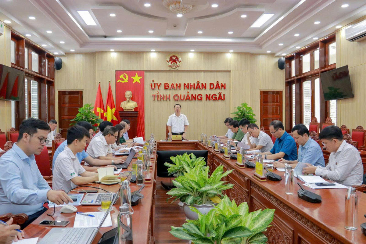 Phó Chủ tịch UBND tỉnh Quảng Ngãi Nguyễn Công Hoàng phát biểu tại buổi làm việc. Ảnh: BT.
