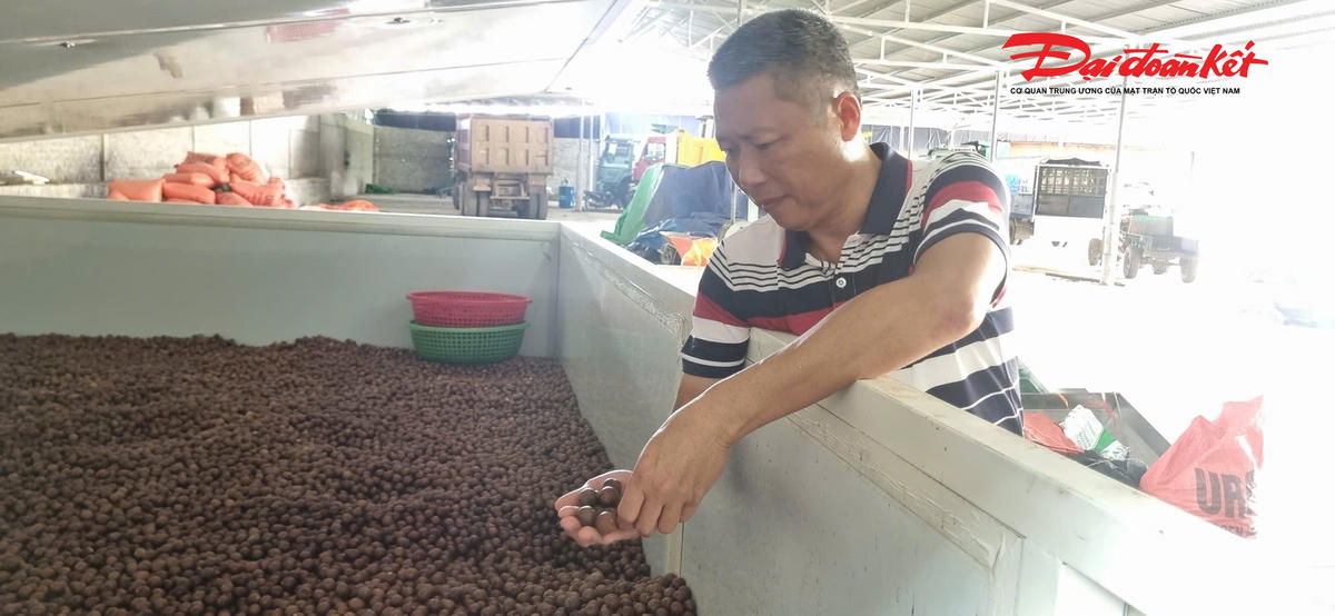 Ông Thành bên cơ sở chế biến sản phẩm từ cây mắc ca cho mình và người dân trong toàn tỉnh. Ảnh: ĐB