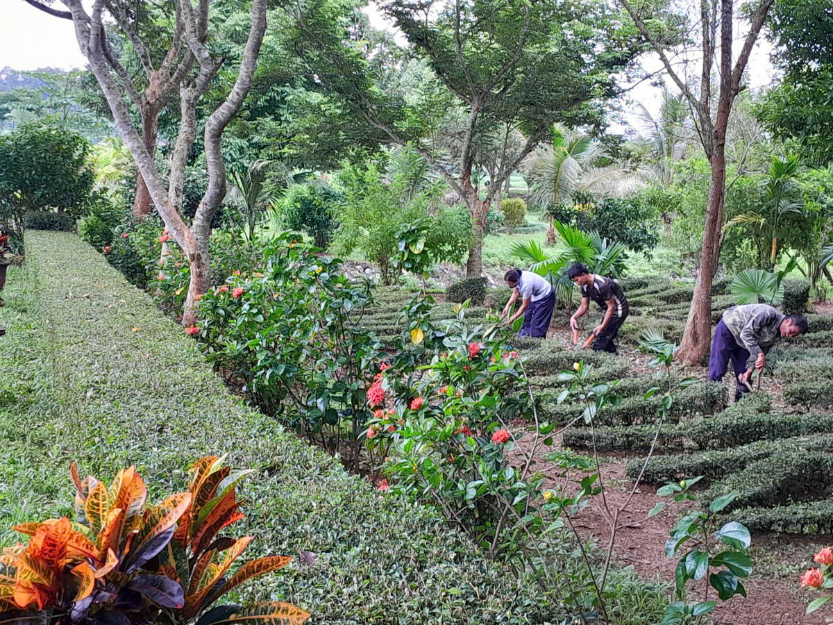 Hoạt động chỉnh trang đang được thực hiện đồng bộ tại di tích quốc gia đặc biệt Lam Kinh. Ảnh: Đình Minh