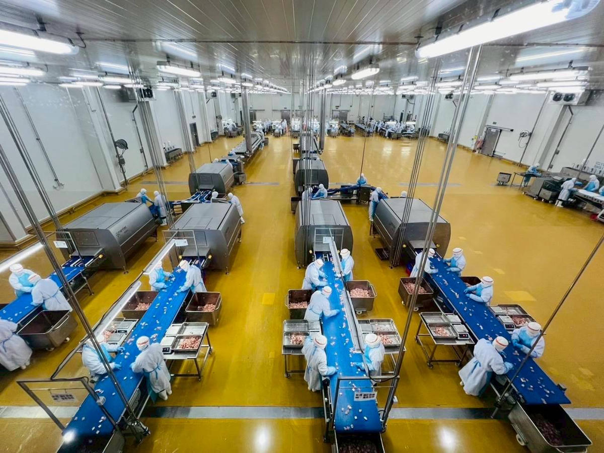 Dây chuyền chế biến gà tại Tổ hợp chăn nuôi và chế biến gà xuất khẩu CPV Food Bình Phước. Ảnh: C.P. Việt Nam.
