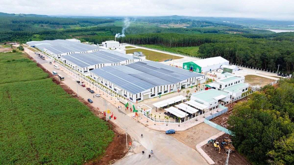 Một góc Khu công nghiệp Sao Mai. Ảnh: BT.