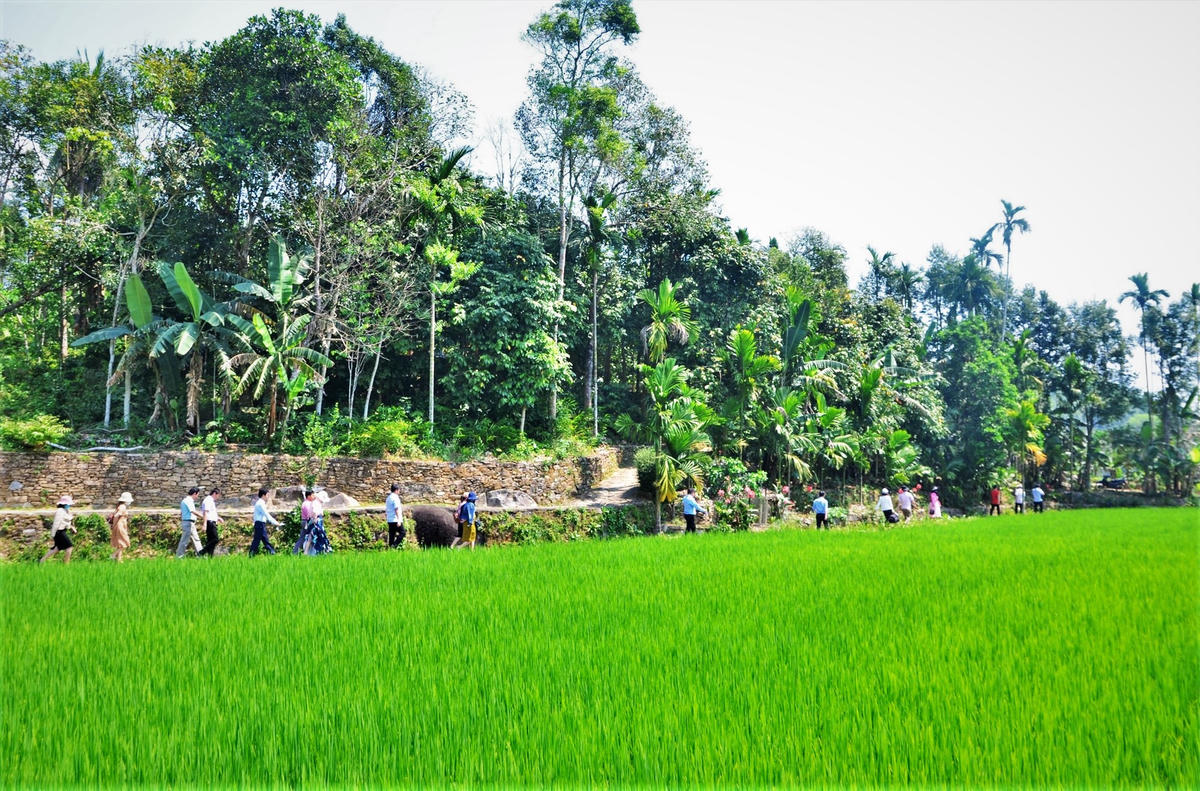 Một góc làng cổ Lộc Yên, xã Thạnh Bình. Ảnh: Tấn Thành.
