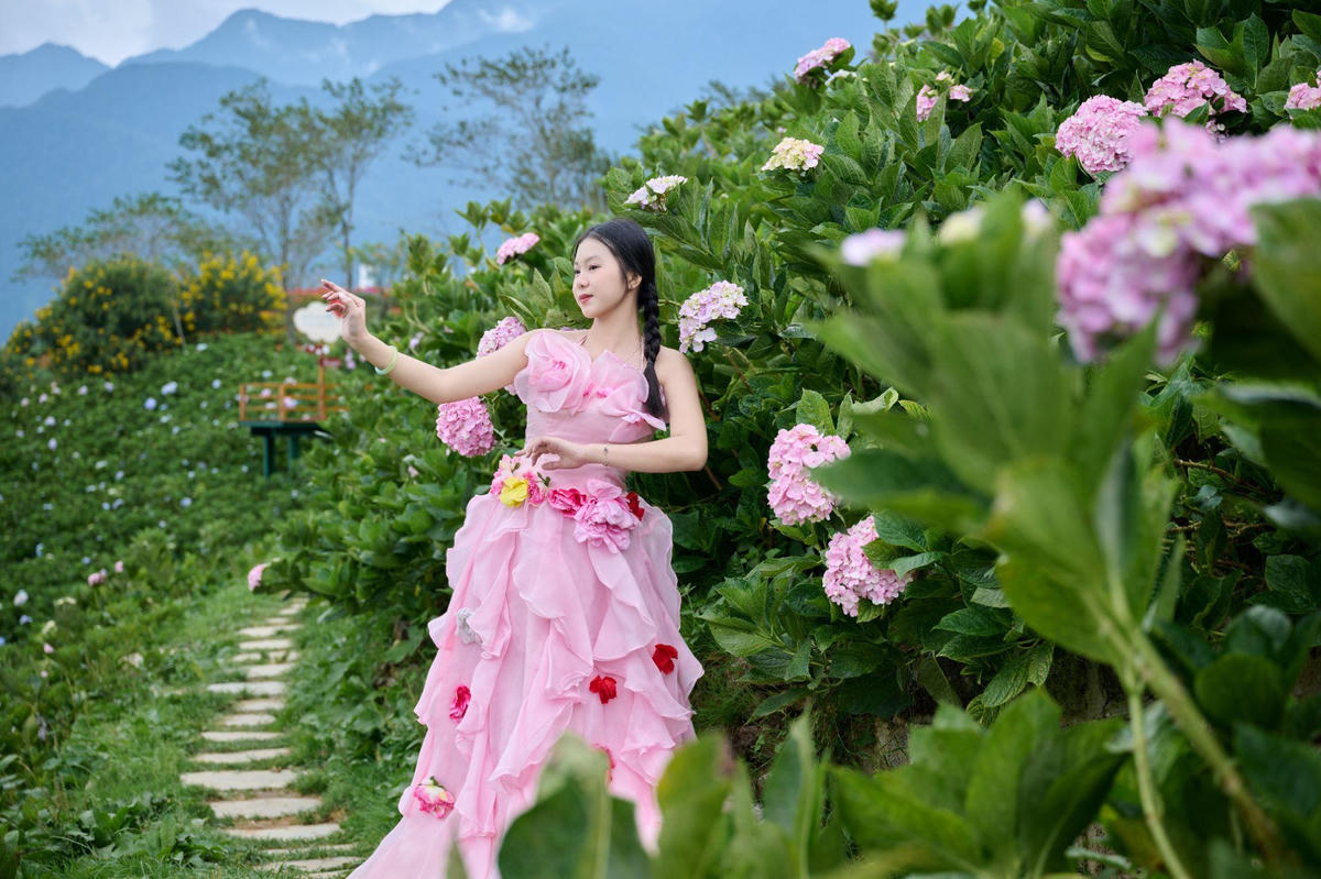 Thiên đường hoa rực rỡ tại Fansipan.