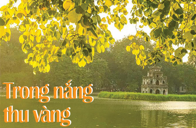 Trong nắng thu vàng