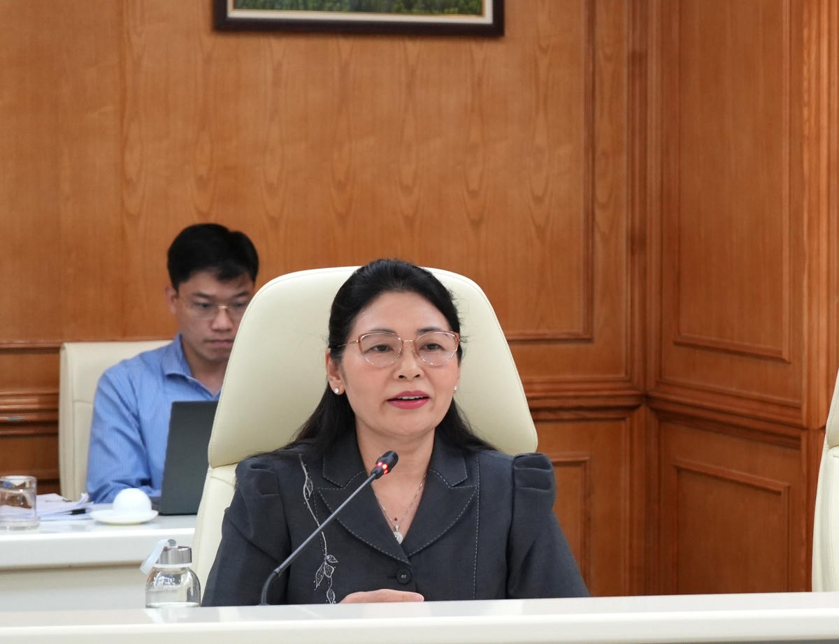 Phó Tổng Kiểm toán nhà nước Hà Thị Mỹ Dung phát biểu tại cuộc họp. Ảnh: Q.Anh
