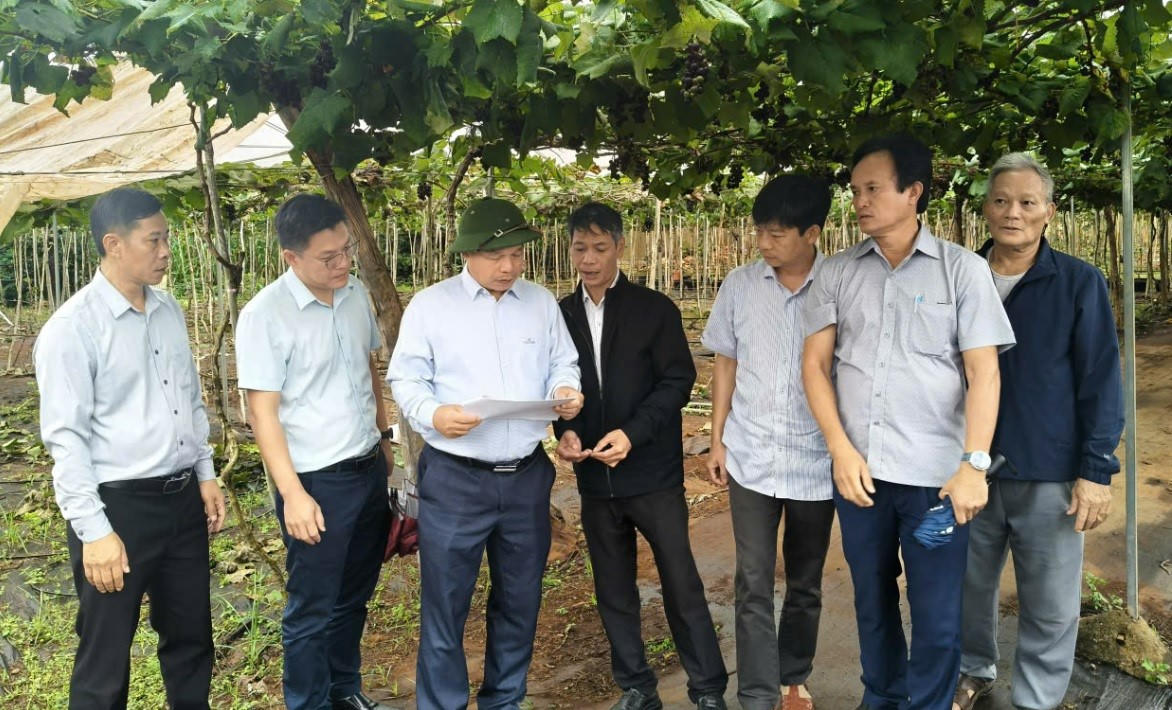 Phó Chủ tịch UBND tỉnh Gia Lai Dương Mah Tiệp (mũ cối xanh) kiểm tra thực tế tình hình triển khai các Chương trình mục tiêu quốc gia tại xã Ia Hrung. Ảnh: PV.