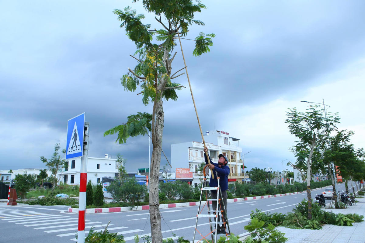 Một công nhân cắt tỉa cây xanh trên tuyến đường Nam Định -Lạc Quần - Đường ven biển trong ngày 29/8. Ảnh: Duy Hưng.  
