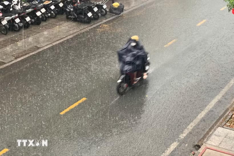 Người dân Thành phố Hồ Chí Minh đi trong cơn mưa. (Ảnh: Hồng Đạt /TTXVN).