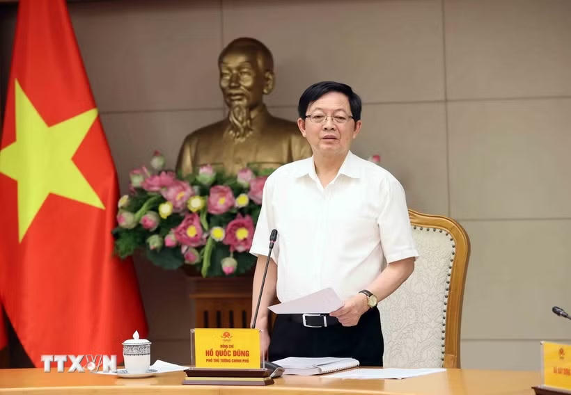 Phó Thủ tướng Hồ Quốc Dũng phát biểu tại cuộc họp. (Ảnh: An Đăng/TTXVN).
