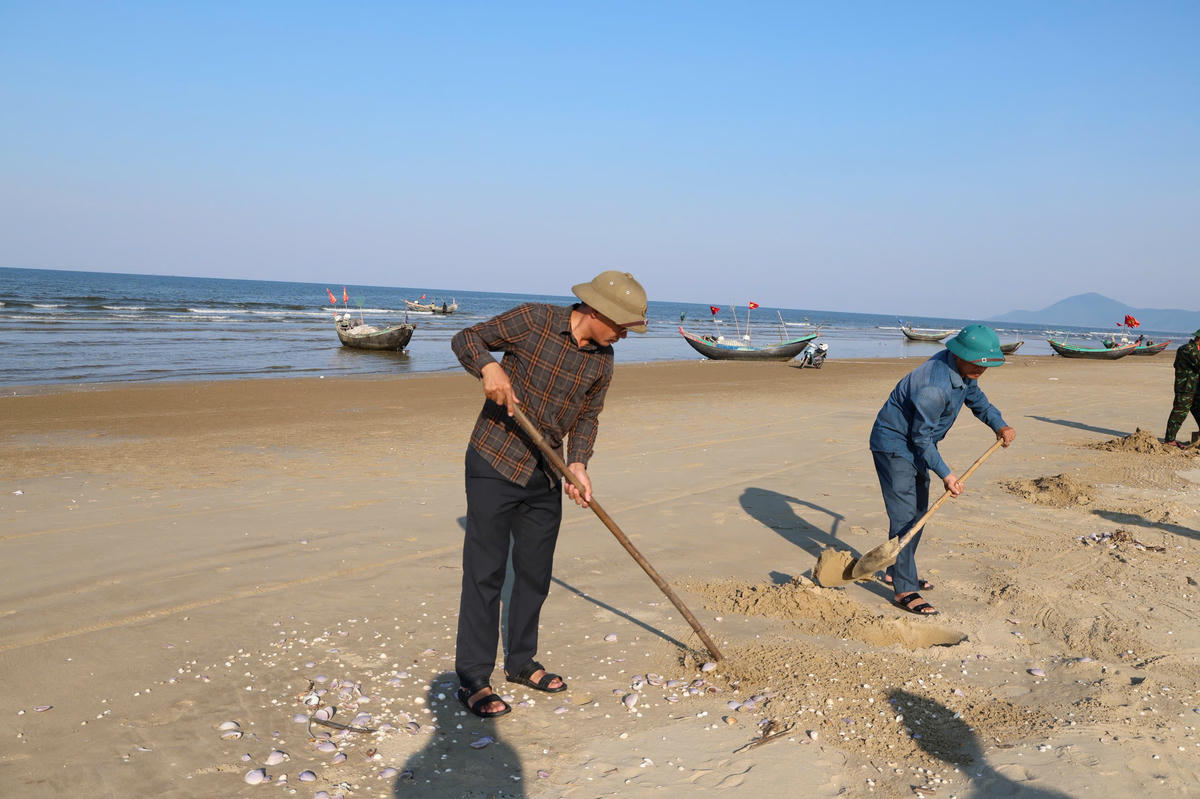 Hà Tĩnh huy động lực lượng thu gom vỏ ngao tím dạt vào bờ
