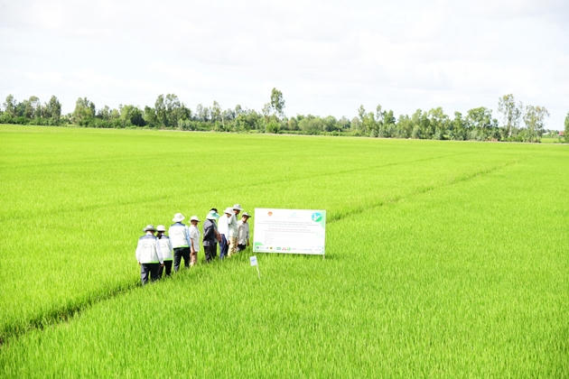 Tại nhiều địa phương nông nghiệp sinh thái gắn với du lịch đang trở thành mũi nhọn để phát triển kinh tế. Ảnh: L.H. 