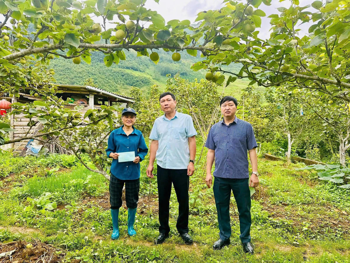 Lãnh đạo xã Phố Bảng thăm mô hình trồng lê tại thôn Phố Bảng, động viên người dân chăm sóc, phát triển cây ăn quả theo hướng nâng cao giá trị.