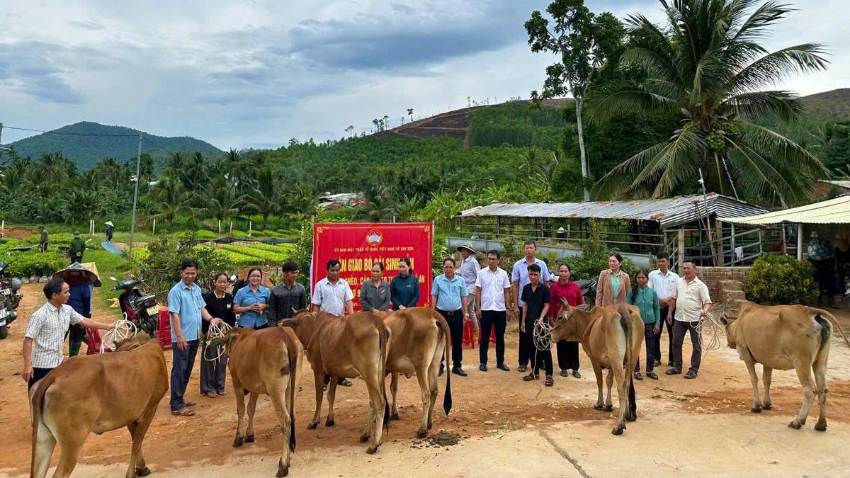 Chính quyền xã Kim Sơn trao bò giống cho các hộ gia đình có hoàn cảnh khó khăn. Ảnh: ĐS.