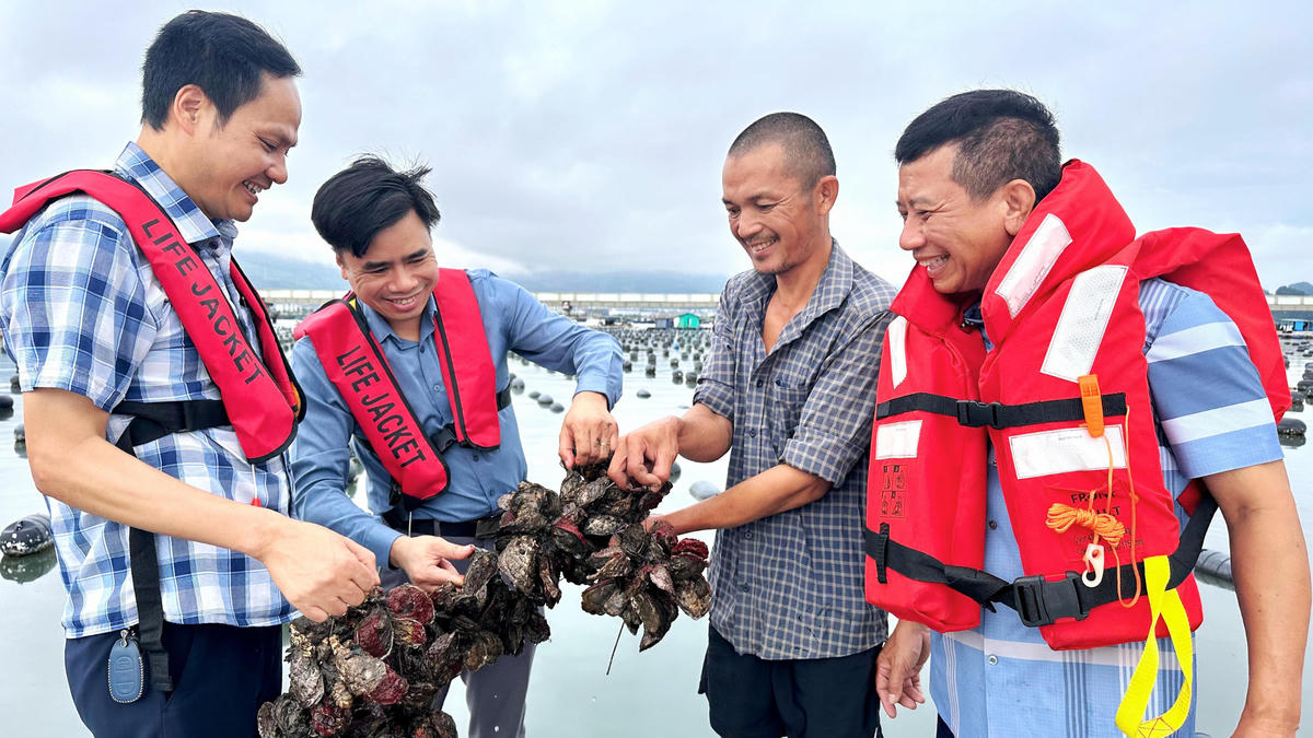 Việc chính thức được giao khu vực biển giúp người dân và các HTX yên tâm đầu tư và phát triển nuôi trồng thủy sản một cách bền vững. Ảnh chụp lãnh đạo UBND phường Cẩm Phả đi khảo sát thực tế tình hình nuôi trồng thủy sản trên địa bàn phường. Ảnh: Ngọc Anh
