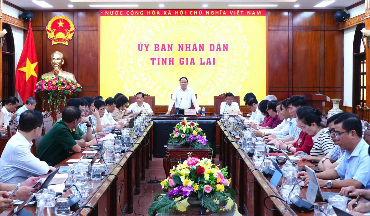 Chủ tịch UBND tỉnh Gia Lai Phạm Anh Tuấn phát biểu tại cuộc họp. Ảnh: ĐS.