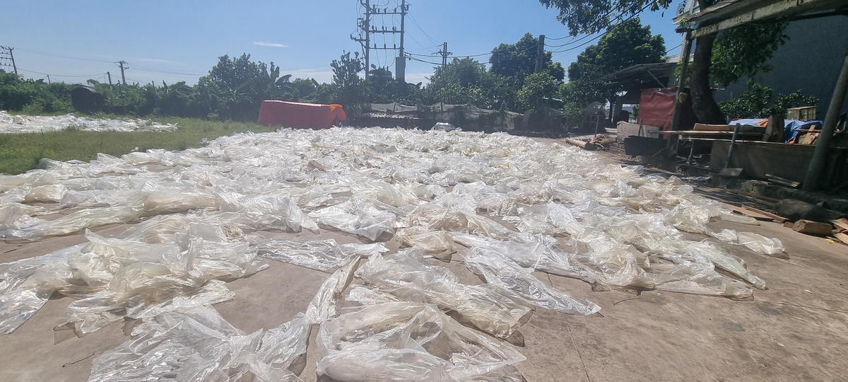 Rác thải nhựa được người dân thu gom và phơi để tái sử dụng xã Yên Phong , tỉnh Bắc Ninh. Ảnh: Minh Quân.
